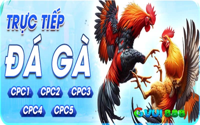Các dịch vụ và sản phẩm tại GVUI888