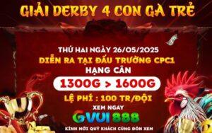 Giải Derby 4 con gà trẻ CPC1