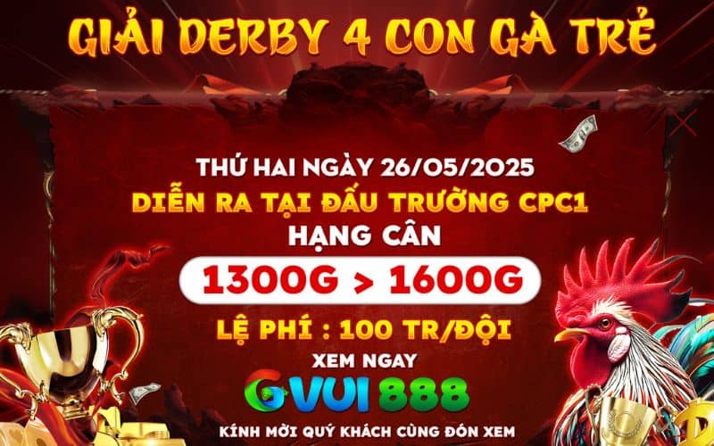 Giải Derby 4 con gà trẻ CPC1