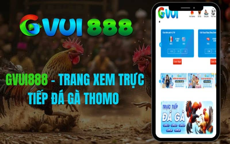 GVUI888 là trang đá gà trực tiếp Thomo