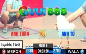 Trận 8 CPC3 Ngày 29/5/2025