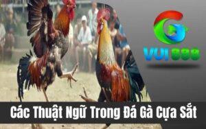 Các Thuật Ngữ Trong Đá Gà Cựa Sắt