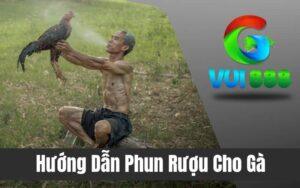Phun Rượu Cho Gà