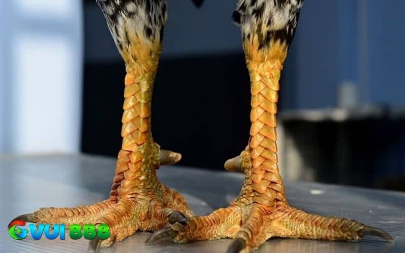 Để đưa ra quyết định đúng nhất cần xem xét nhiều yếu tố Để đưa ra quyết định đúng nhất cần xem xét nhiều yếu tố
