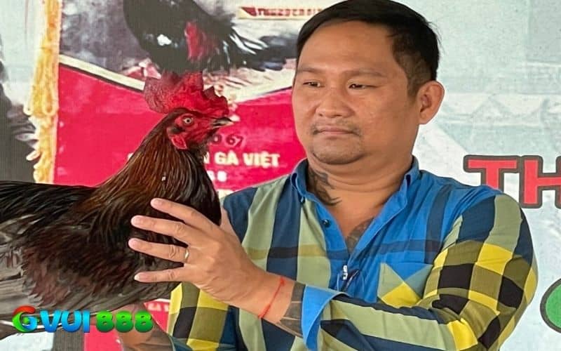 Mít Trà Cú giành chiến thắng trong trận gà 24 tỷ Mít Trà Cú giành chiến thắng trong trận gà 24 tỷ