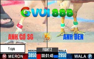 Trận 2 CPC3 Ngày 28/05/2025