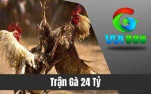 Trận Gà 24 Tỷ