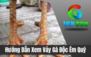 Vảy Độc Ém Quý