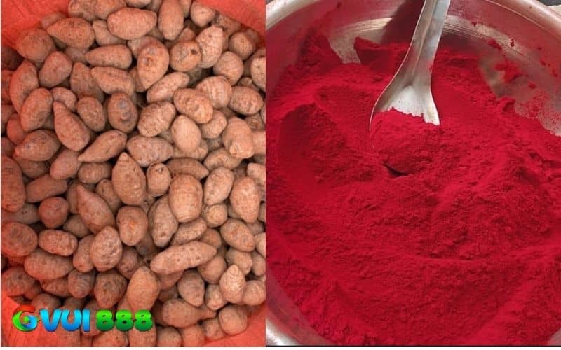 Các dụng cụ cần thiết khi vào nghệ cho gà chọi Các dụng cụ cần thiết khi vào nghệ cho gà chọi