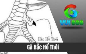 Gà hắc hổ thới