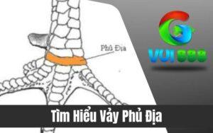 Vảy Phủ Địa