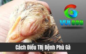 Bệnh Phù Gà