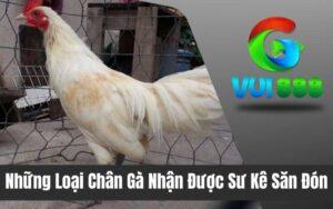 Gà Nhạn